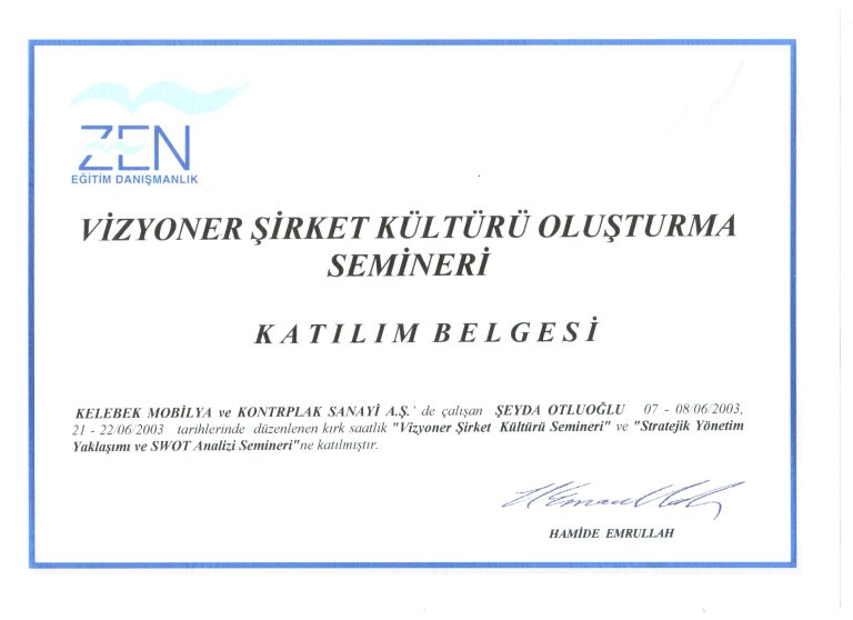 zen.07.08.06.2003.vizyoner.şirket.kültürü.semineri.16.saat